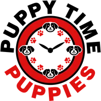 Puppy Time Puppies Inc